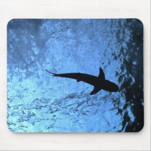 Backlit Shark Mouse Mat