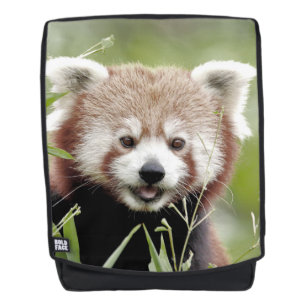 Backpack. Photo red panda. Backpack