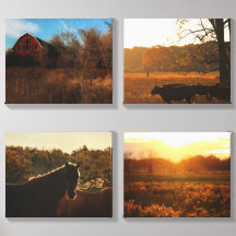 Backroads & Barnwood- Four-Piece Canvas Wall Art