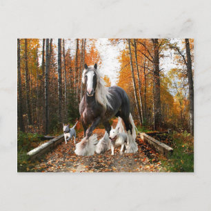 "Backroads Ramble" Postcard