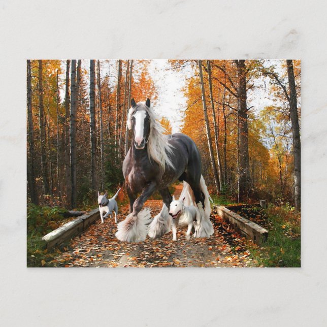 "Backroads Ramble" Postcard (Front)