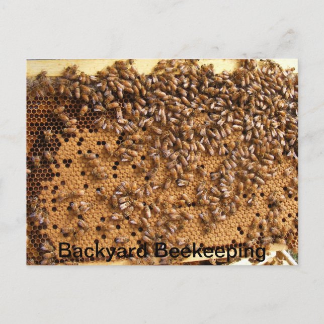 Backyard Beekeeping Postcard (Front)