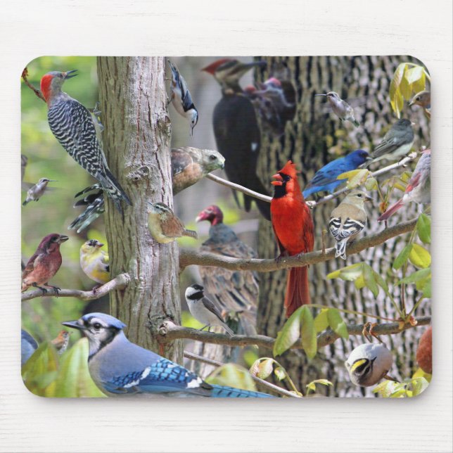 Backyard Bird Mouse Pad (Front)