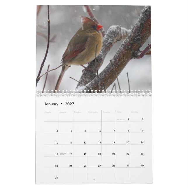 Backyard Birds Calendar (Jan 2027)