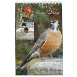 BackYard birds calendar