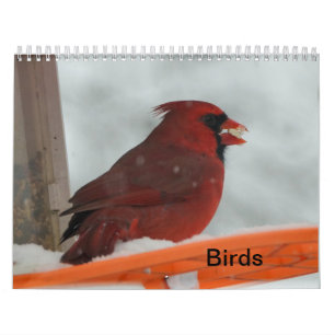 Backyard Birds Calendar