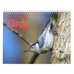Backyard Birds Calendar 3rd in Series