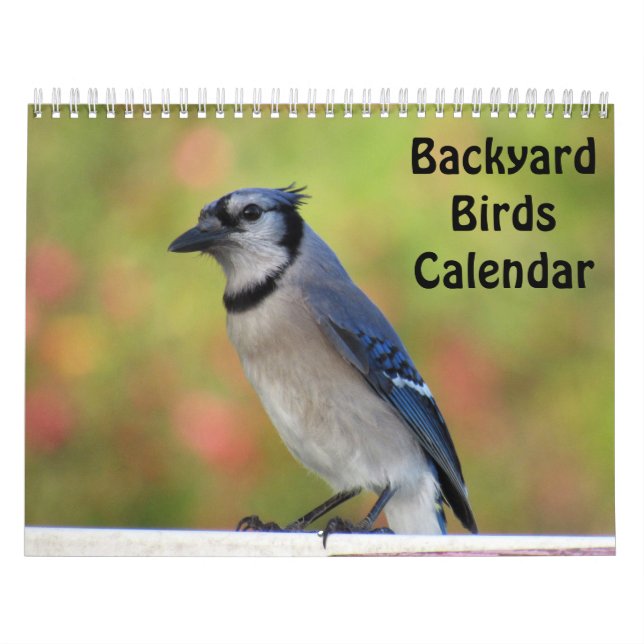 Backyard Birds Calendar (New for 2018) (Cover)