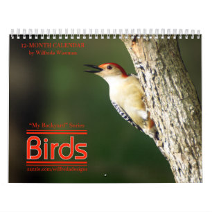 Backyard Birds Calendar Woodpecker Cover