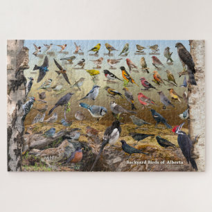 Backyard Birds of Alberta Jigsaw Puzzle