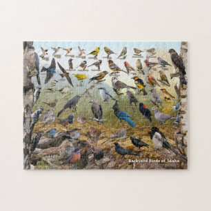 Backyard Birds of Idaho Jigsaw Puzzle