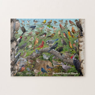 Backyard Birds of Illinois Jigsaw Puzzle