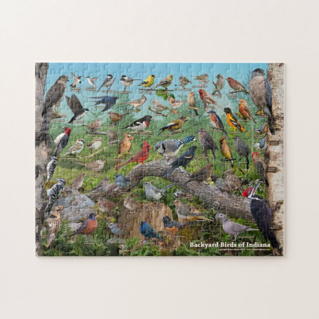 Backyard Birds of Indiana Puzzle (Horizontal)