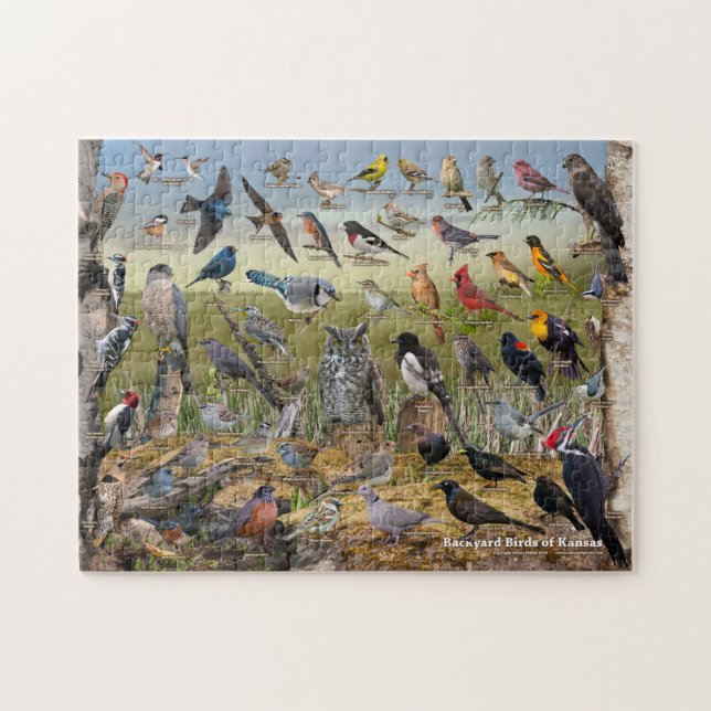 Backyard Birds of Kansas Jigsaw Puzzle (Horizontal)