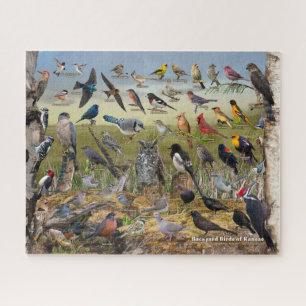 Backyard Birds of Kansas Jigsaw Puzzle