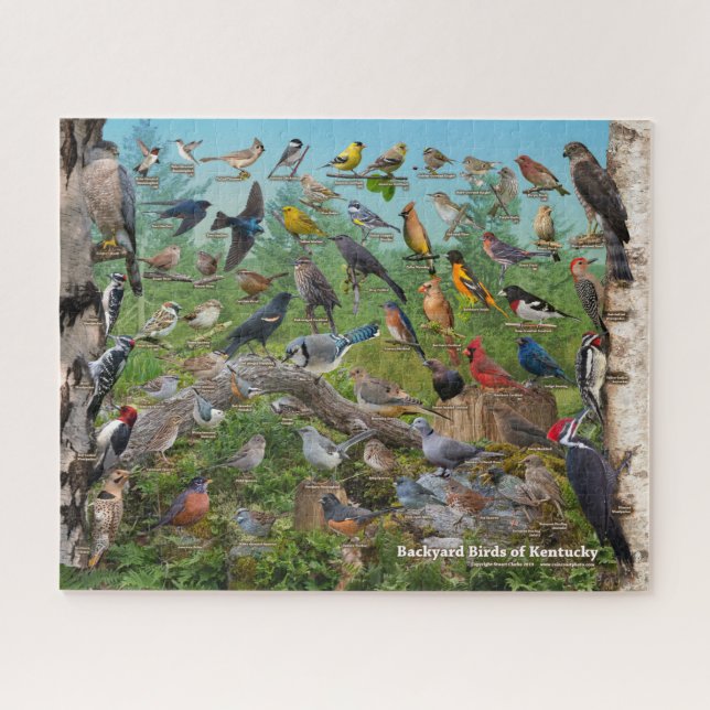 Backyard Birds of Kentucky Jigsaw Puzzle (Horizontal)