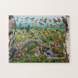 Backyard Birds of Maine Jigsaw Puzzle