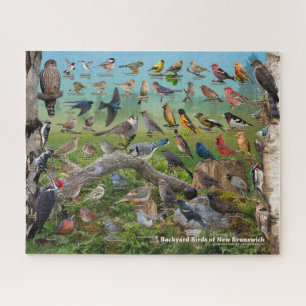 Backyard Birds of New Brunswick Puzzle
