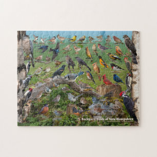 Backyard Birds of New Hampshire Jigsaw Puzzle