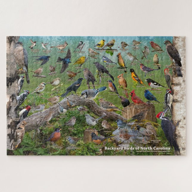 Backyard Birds of North Carolina Jigsaw Puzzle (Horizontal)