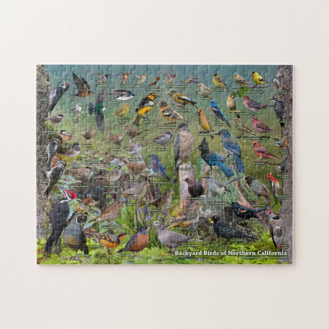 Backyard Birds of Northern California Jigsaw Puzzle (Horizontal)