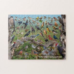 Backyard Birds of Pennsylvania Jigsaw Puzzle