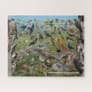 Backyard Birds of Pennsylvania Jigsaw Puzzle