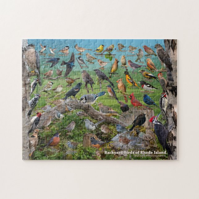 Backyard Birds of Rhode Island Jigsaw Puzzle (Horizontal)