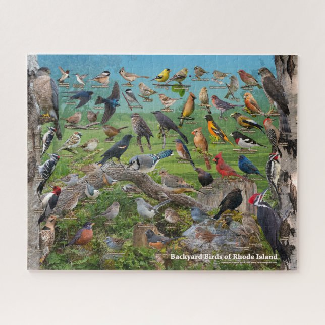Backyard Birds of Rhode Island Jigsaw Puzzle (Horizontal)