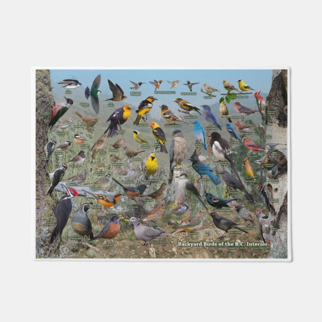 Backyard Birds of the BC Interior Doormat (Front)
