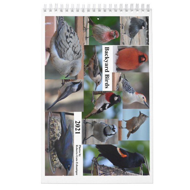 Backyard Birds of the Mid-Atlantic Calendar (Cover)