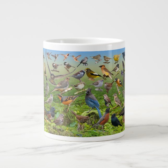 Backyard Birds Of the West Large Coffee Mug (Front)