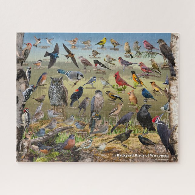 Backyard Birds of Wisconsin Jigsaw Puzzle (Horizontal)