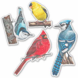 Backyard Birds Stickers Value Pack
