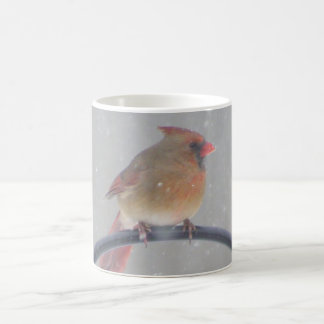 Backyard Cardinal Coffee Mug