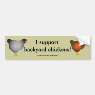 Backyard chickens Bumper Sticker