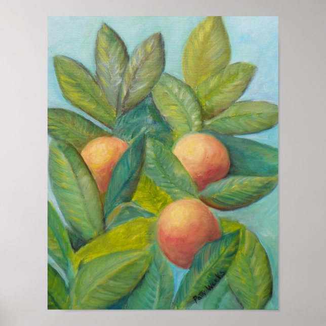 BACKYARD FLORIDA ORANGES Poster (Front)