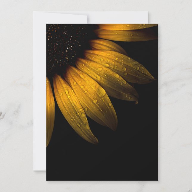 Backyard Flowers 28 Sunflower (Front)