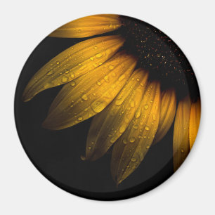 Backyard Flowers 28 Sunflower Magnet