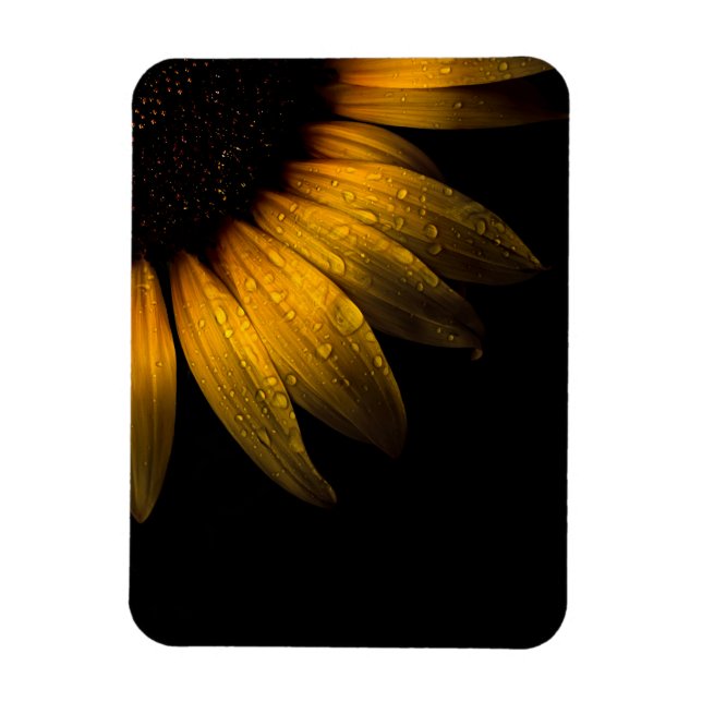 Backyard Flowers 28 Sunflower Magnet (Vertical)