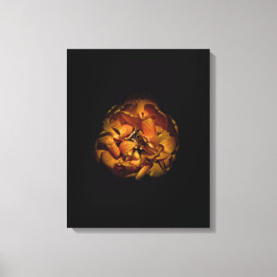 Backyard Flowers 80 Colour Version Canvas Print