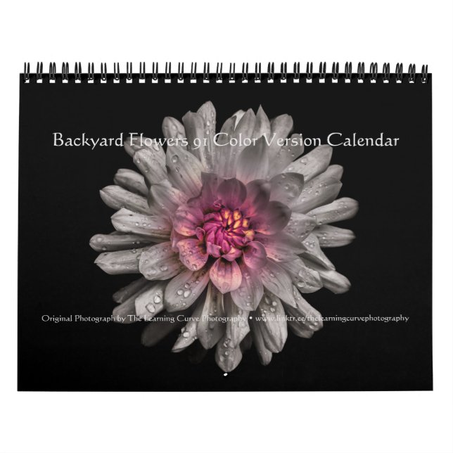 Backyard Flowers 91 Colour Version Calendar (Cover)