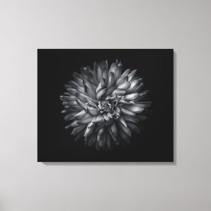 Backyard Flowers In Black And White 20 Canvas Print