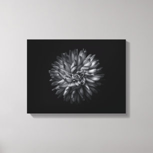 Backyard Flowers In Black And White 20 Canvas Print