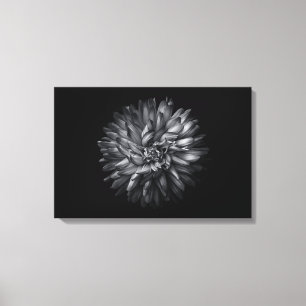 Backyard Flowers In Black And White 20 Canvas Print