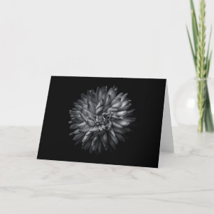 Backyard Flowers In Black And White 20 Card