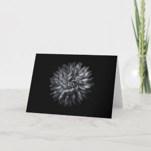 Backyard Flowers In Black And White 20 Holiday Card