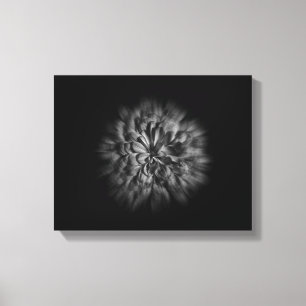 Backyard Flowers In Black And White 48 Flow Canvas Print