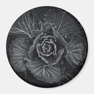 Backyard Flowers In Black And White No 108 Magnet