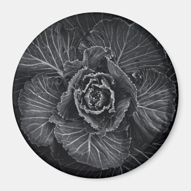 Backyard Flowers In Black And White No 108 Magnet (Front)